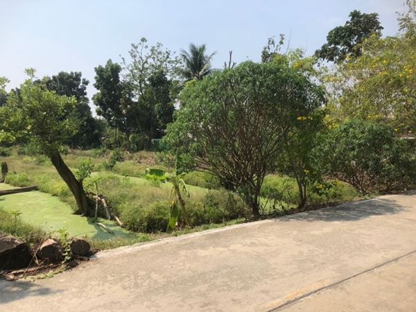 ขายที่ดิน 5-2-75 ไร่ ซอยบางกร่าง 59/6 เดินทางสะดวกทั้งทาง ถ.ราชพฤกษ์ และ ถ.บางกรวย-ไทรน้อยเมืองนนทบุรี